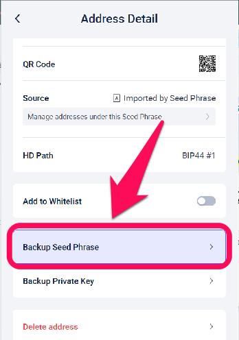 Find Secret Recovery Phrase in Rabby Wallet