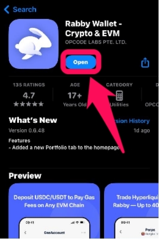 Download Rabby Wallet Mobile App