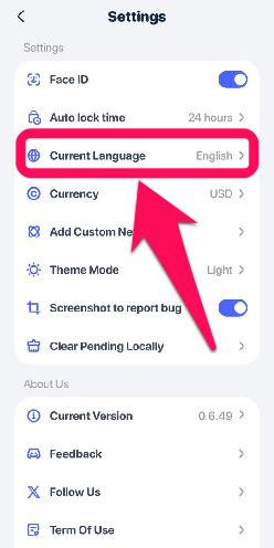 Change Language in Rabby Wallet