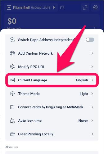 Change Language in Rabby Wallet