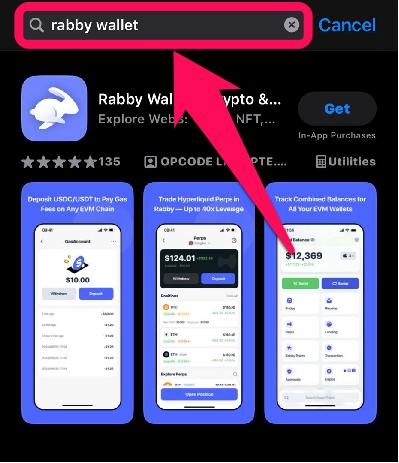 Download Rabby Wallet Mobile App
