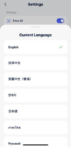 Change Language in Rabby Wallet