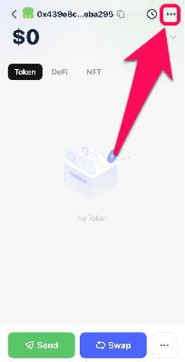 Find Secret Recovery Phrase in Rabby Wallet