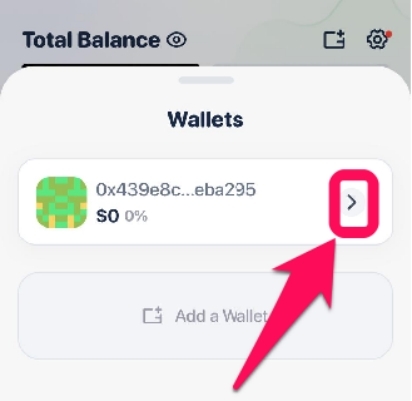 Change Rabby Wallet Name