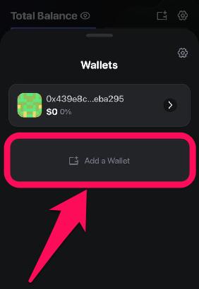 Import Existing Wallet to Rabby Wallet