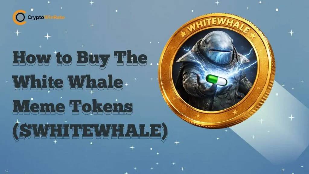 Buy tHE WHITE WHALE