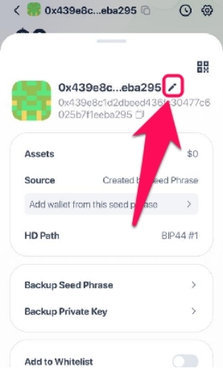 Change Rabby Wallet Name