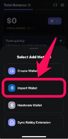 Import Existing Wallet to Rabby Wallet