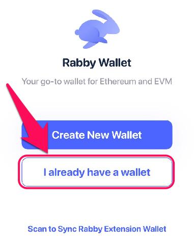Change Rabby Wallet Password