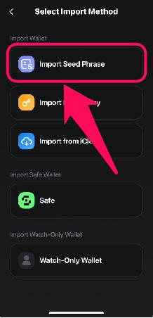 Import Existing Wallet to Rabby Wallet