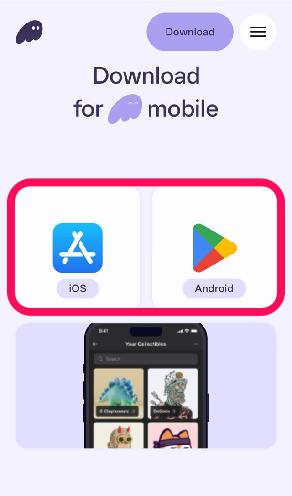 Download Phantom Mobile Wallet App