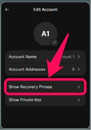 Secure and Back Up Your Phantom Wallet
