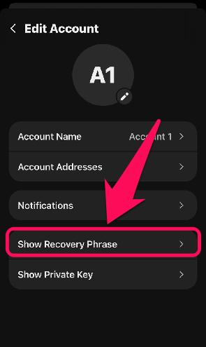 Find Your Secret Recovery Phrase in Phantom Wallet