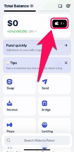 Import Existing Wallet to Rabby Wallet
