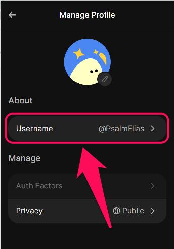Change Your Phantom Wallet Username