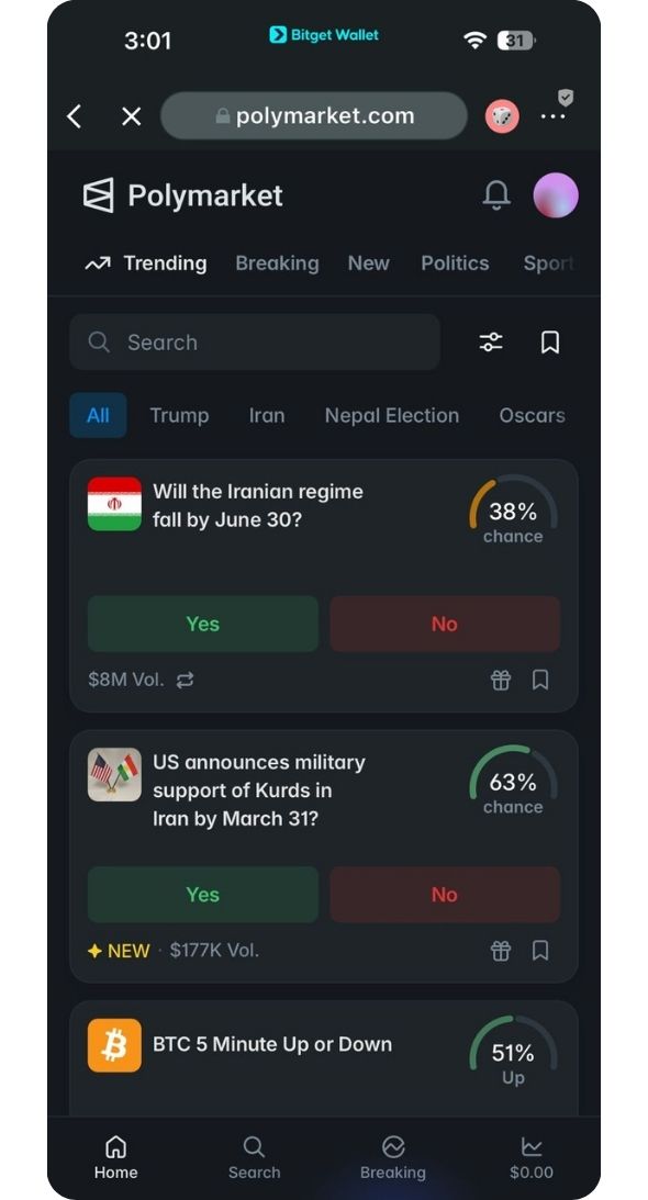 best polymarket wallets