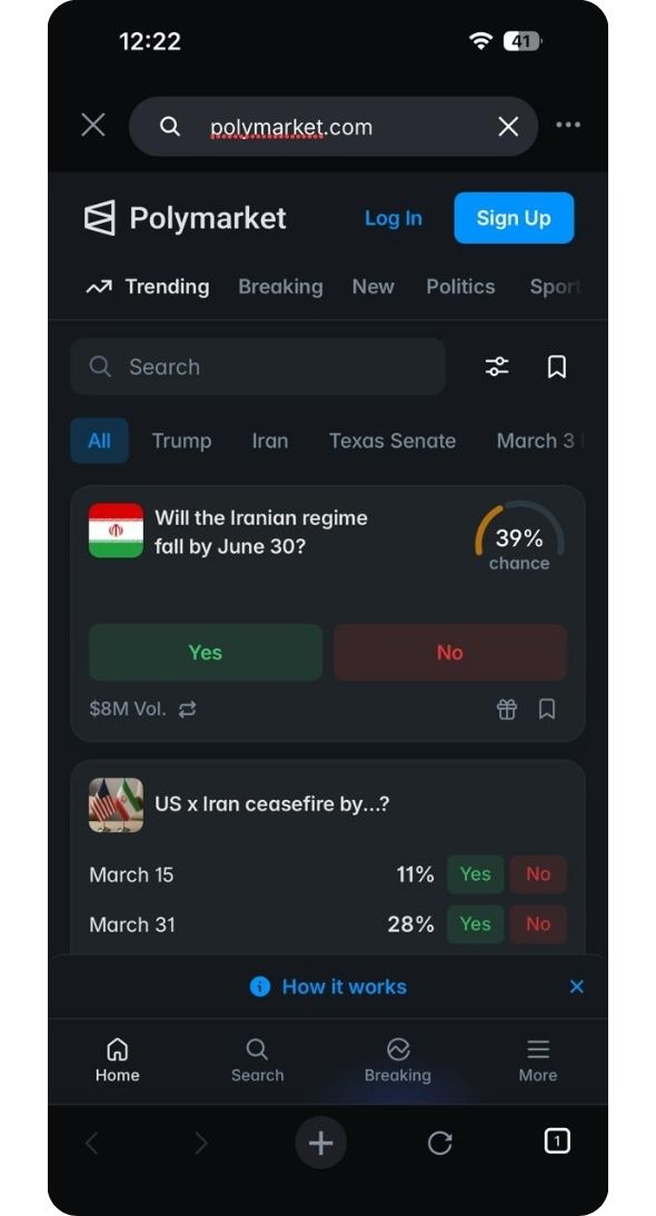 best polymarket wallets