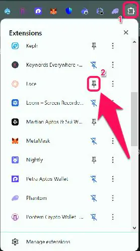 Get Started With Lace Wallet