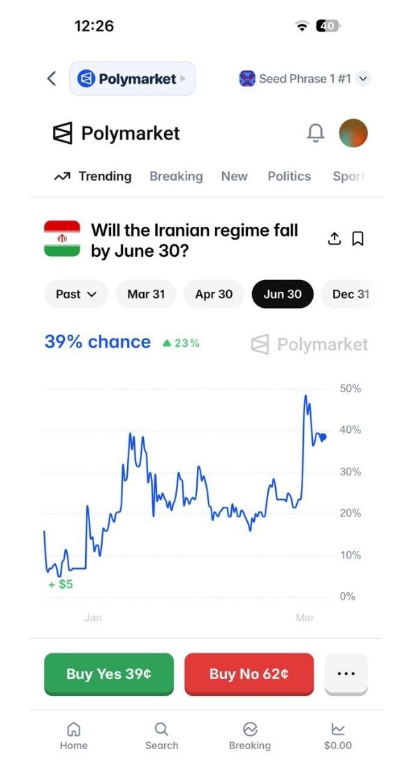 best polymarket wallets