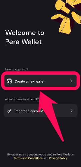 Erste Schritte mit Pera Wallet