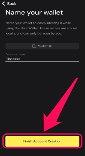 Erste Schritte mit Pera Wallet
