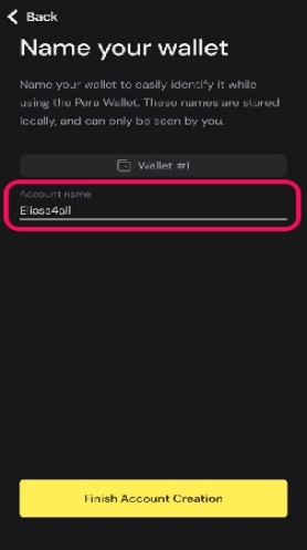 Erste Schritte mit Pera Wallet