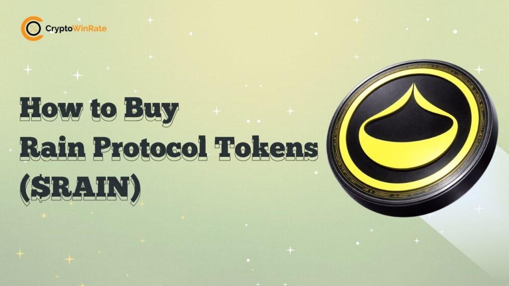 buy Rain protocols