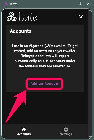 开始使用 Lute Wallet