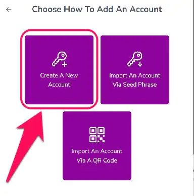Get Started With Kibisis Wallet