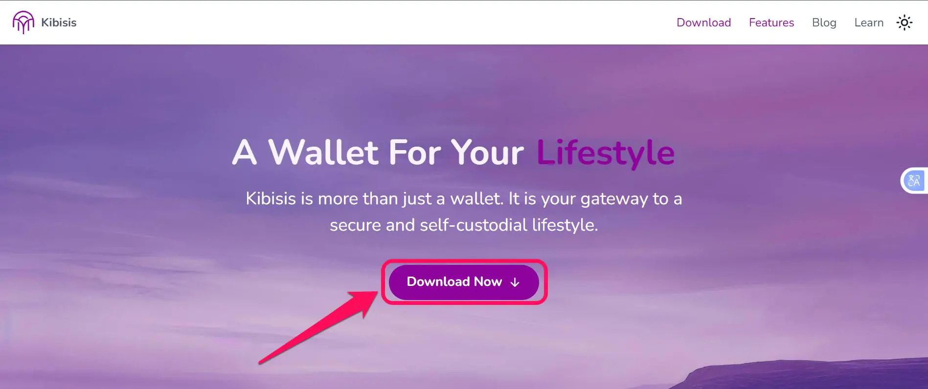 Get Started With Kibisis Wallet