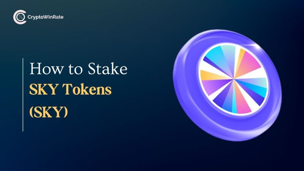 How to Stake SKY Tokens Simple SKY Staking Guide